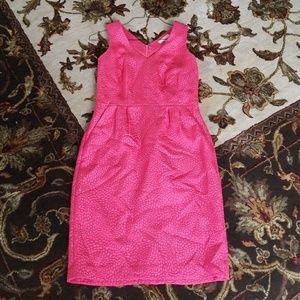Banana Republic Pink Dress